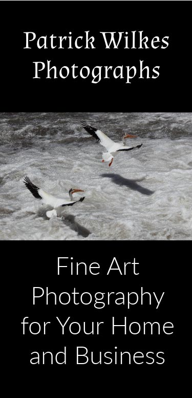 Ad for Patrick Wilkes Photography Fine Art