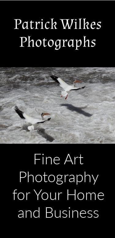 Ad for Patrick Wilkes Photography Fine Art