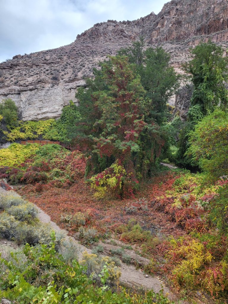 Kershaw-Ryan State Park Fall Colors