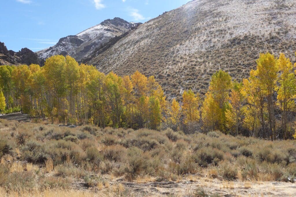 Upper Water Canyon