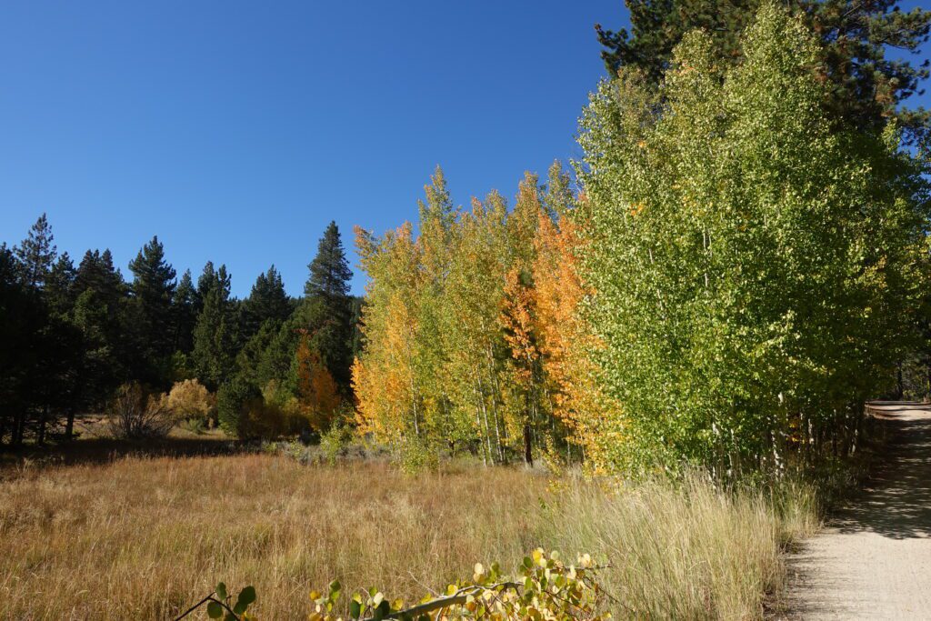 Spooner Lake State Park Fall Color