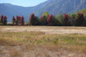 Fall Color Drive in Carson Valley