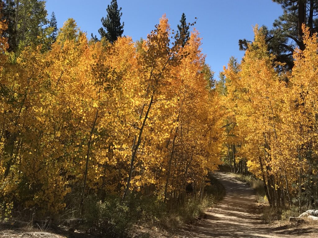 Spooner Lake State Park Fall Color