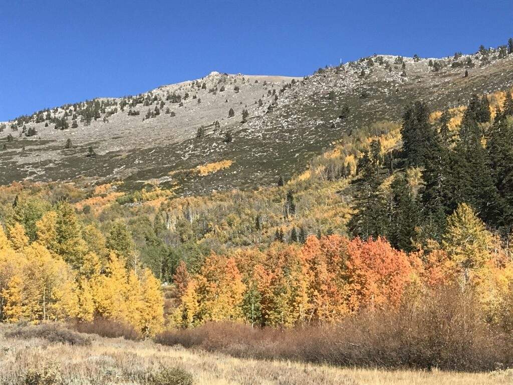 Spooner Lake State Park Fall Color