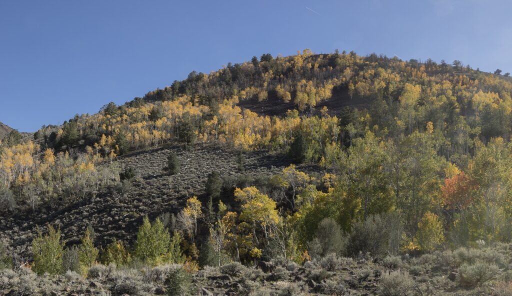 Mount Jefferson Trail Fall Color