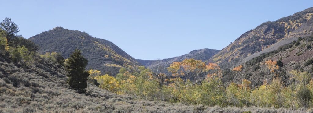 Fall Color on Mt. Jefferson Trail