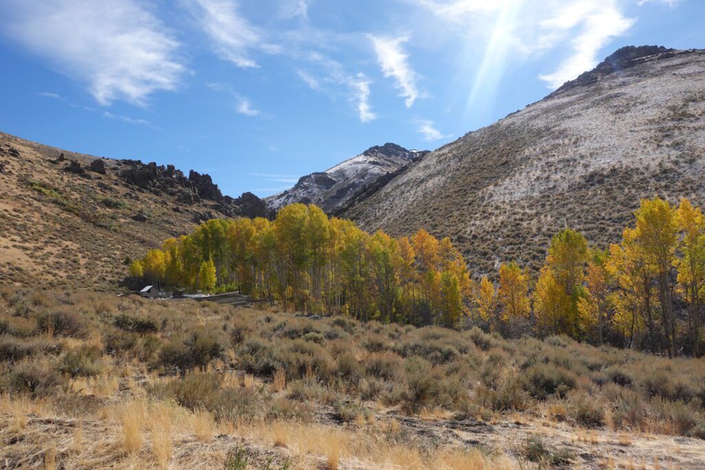 Fall color at Water Canyon Campground