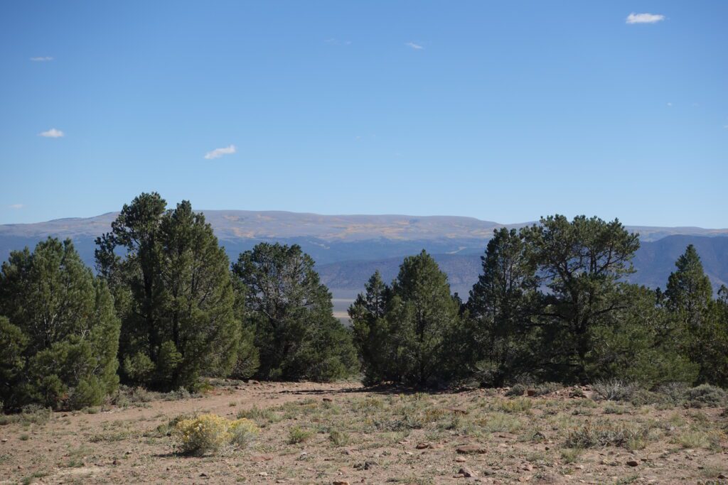 Table Mountain from Mt Jefferson Trailhead