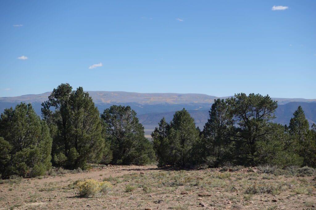 Table Mountain from Mt Jefferson Trailhead