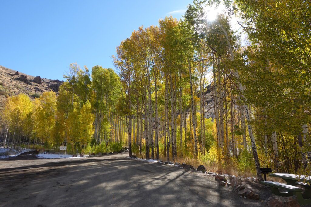 Water Canyon Campground