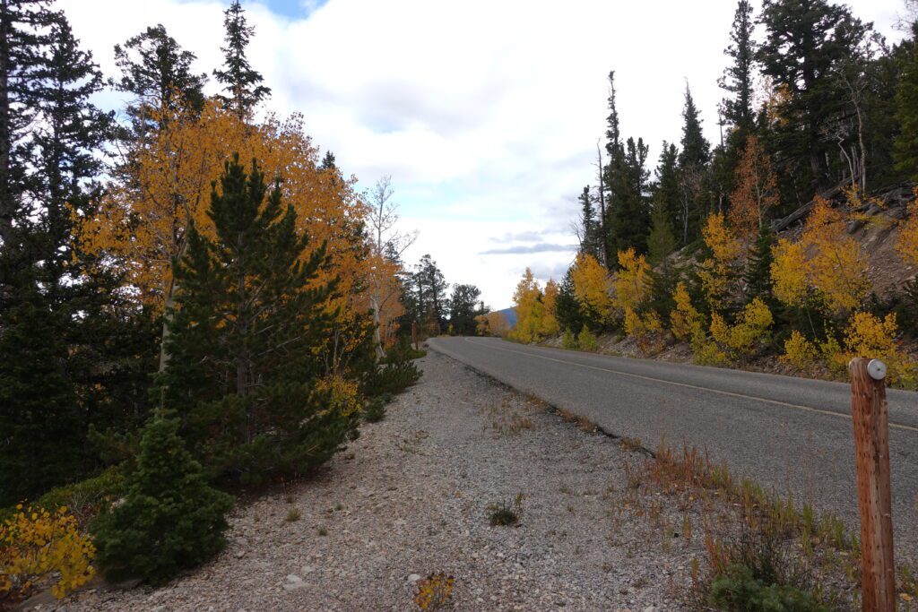 Great Basin National Park Fall Color