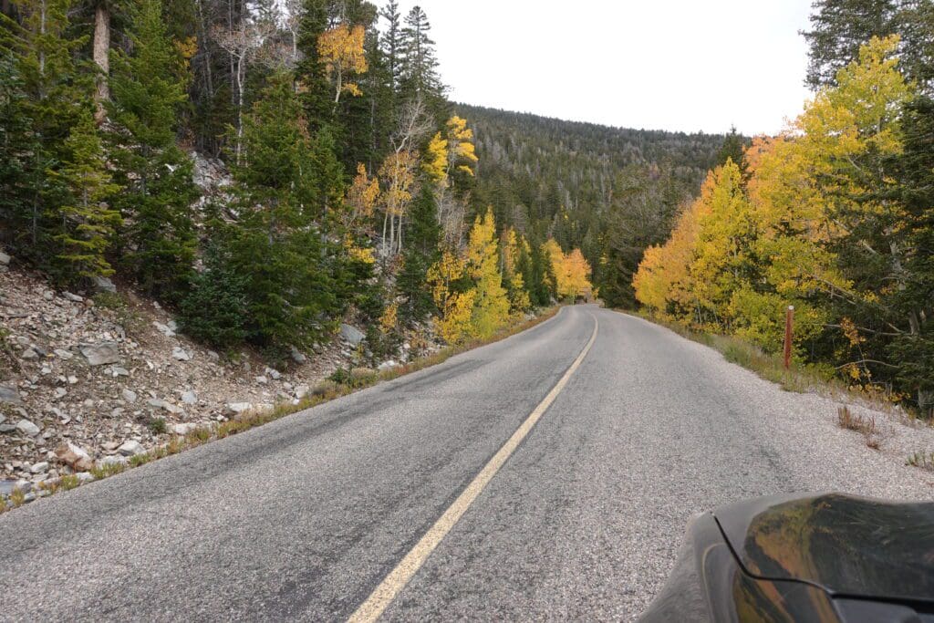 Wheeler Peak Scenic Drive Fall Color