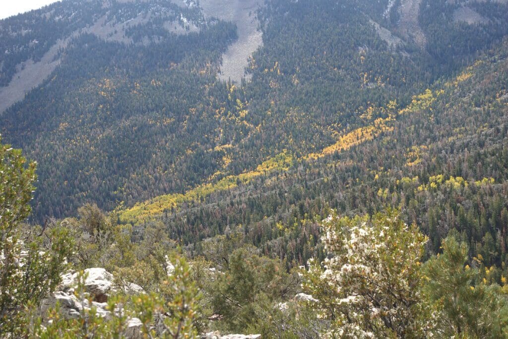 View from Mather Overlook