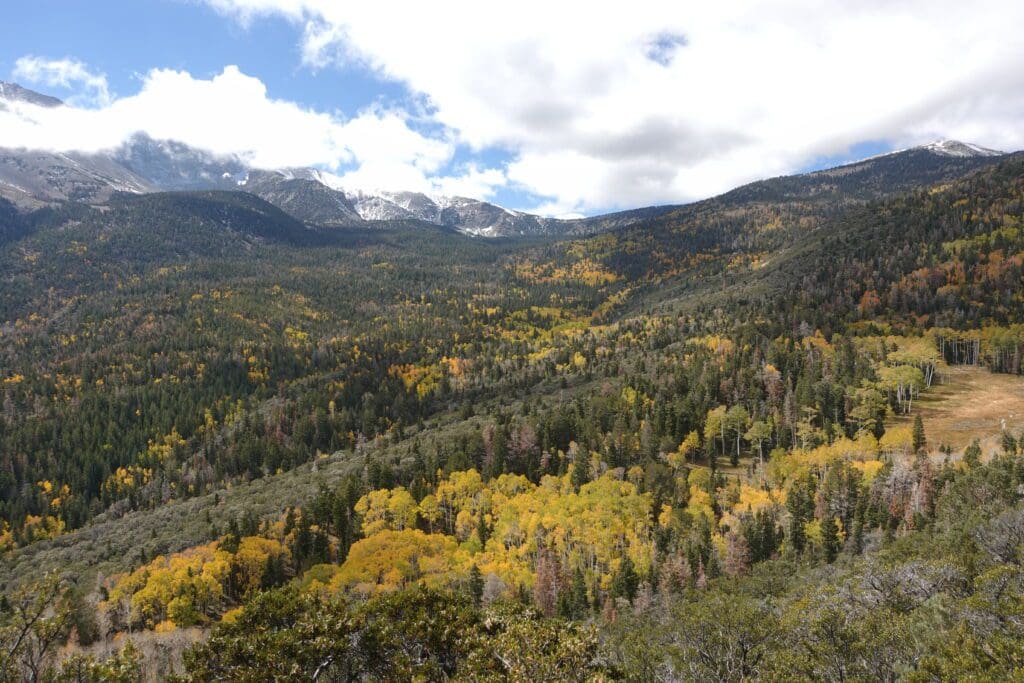 Mather Overlook Fall Color