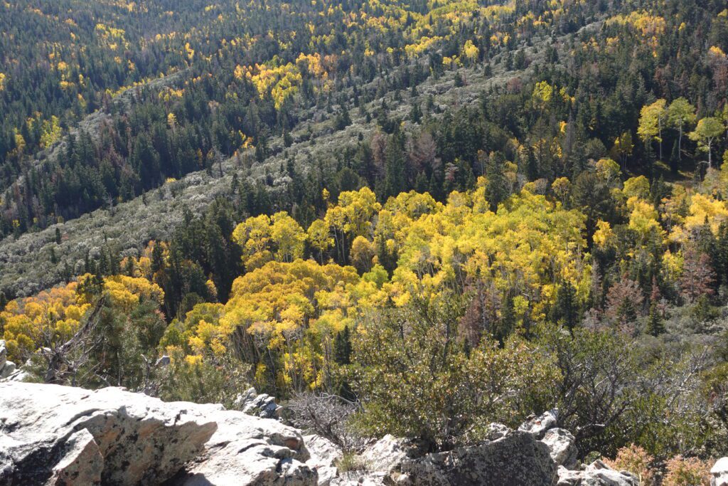 Mather Overlook Fall Color