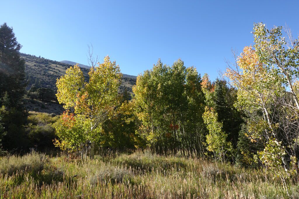 Trail from End of Baker Creek Road to Campground