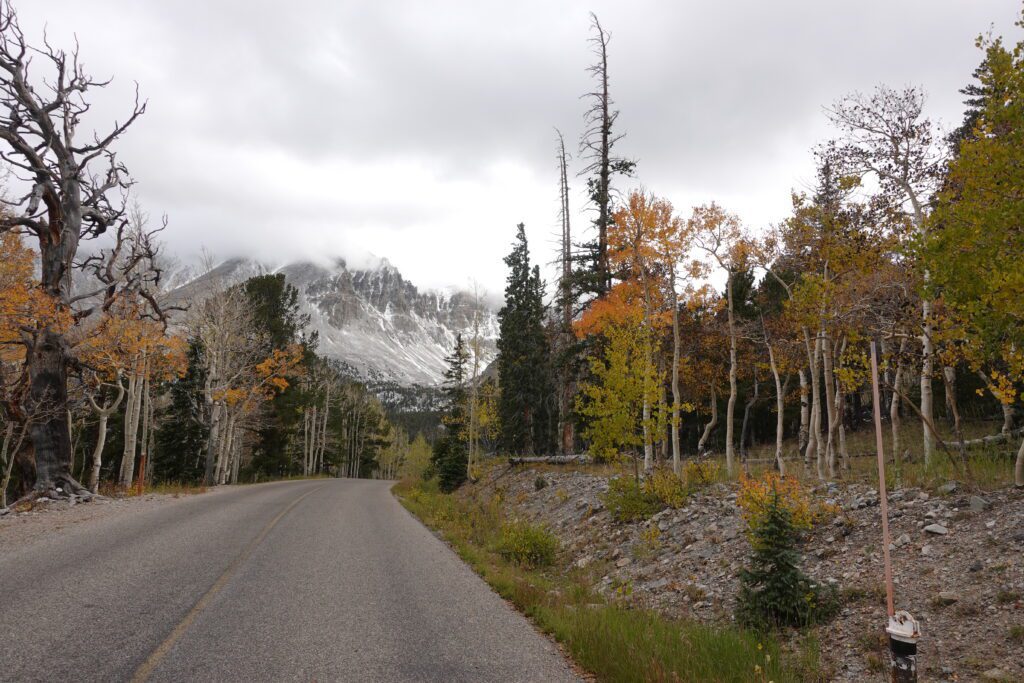 Wheeler Peak and Fall Color