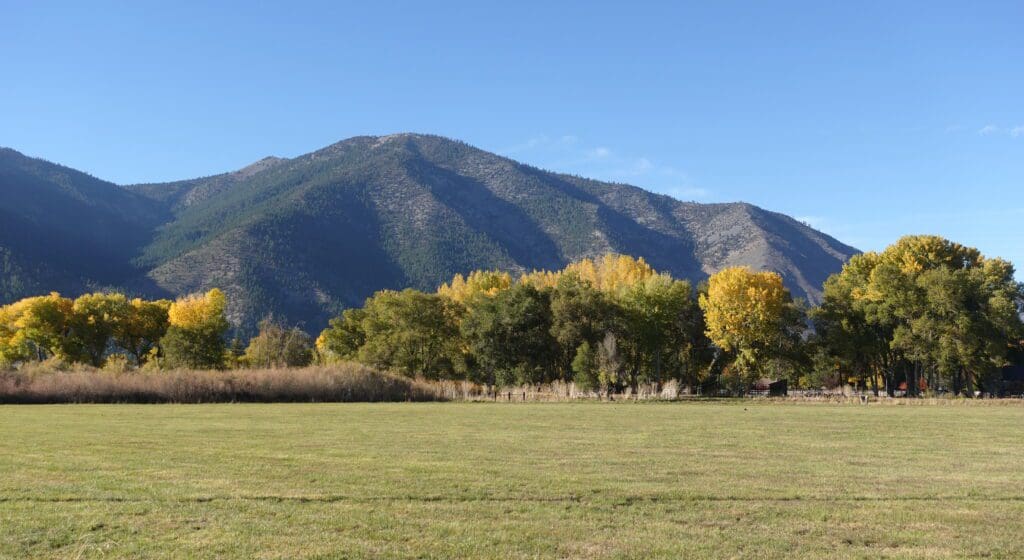Fall color near Genoa