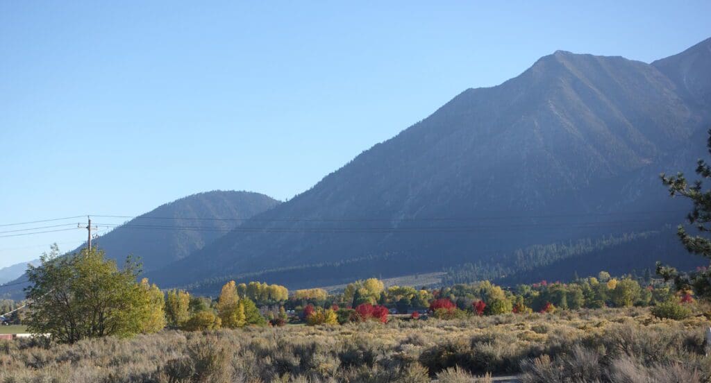 Fall Color in Carson Valley