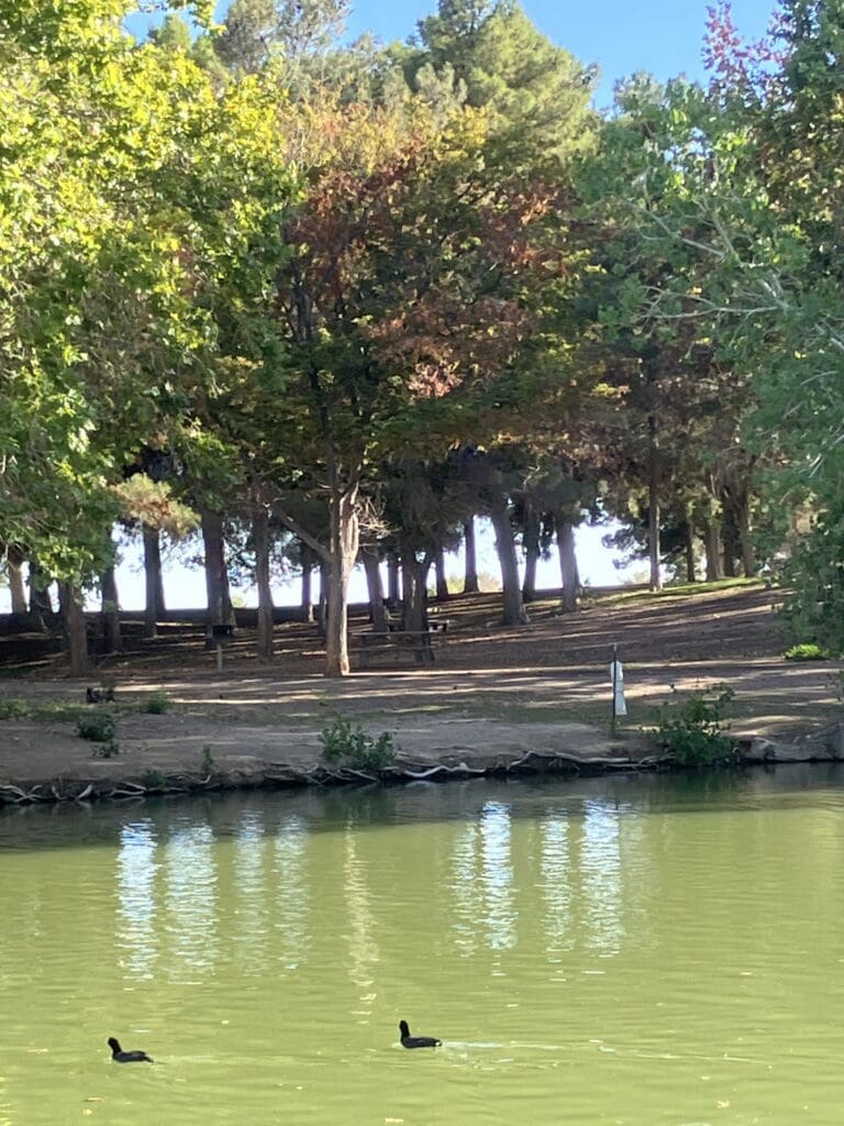 Floyd Lamb Park