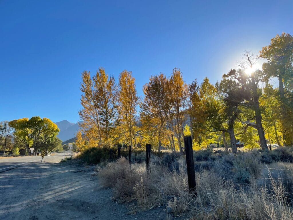 Fall color on Foothill Road