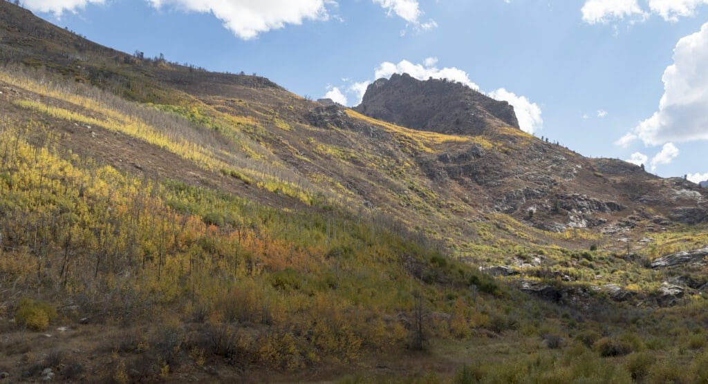 Right Fork Lamoille Creek Fall Foliage