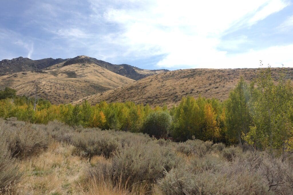 Water Canyon Fall Foliage