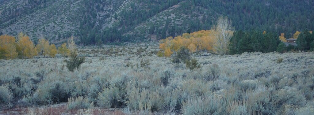 Fall color on road to Fay Luther