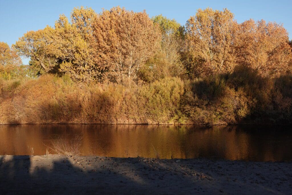 Carson River at Dayton State Park