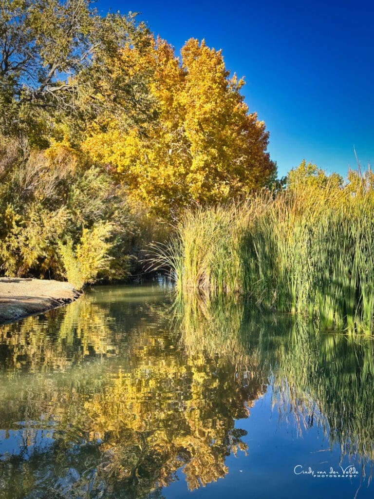 Floyd Lamb Park
