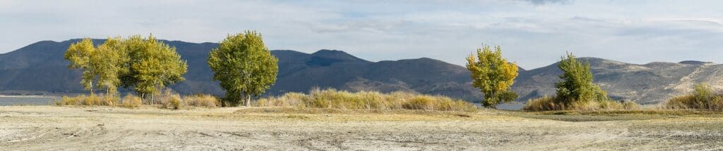 Washoe Valley Fall Color