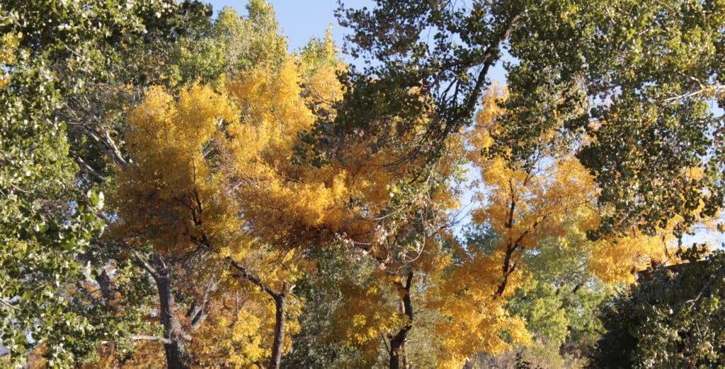 Dayton State Park