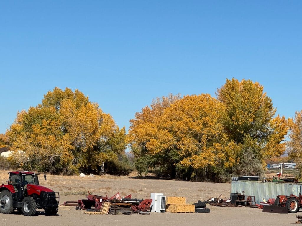 Fall foliage, Mason Valley