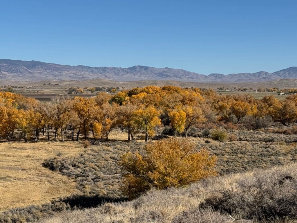 Mason Valley Fading Fall Color