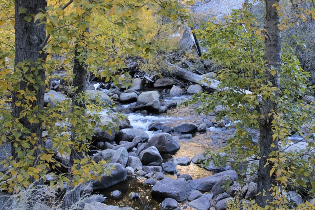 Carson River in Woodfords Canyon