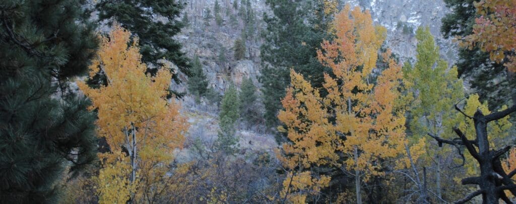 Fall color at Woodfords Canyon