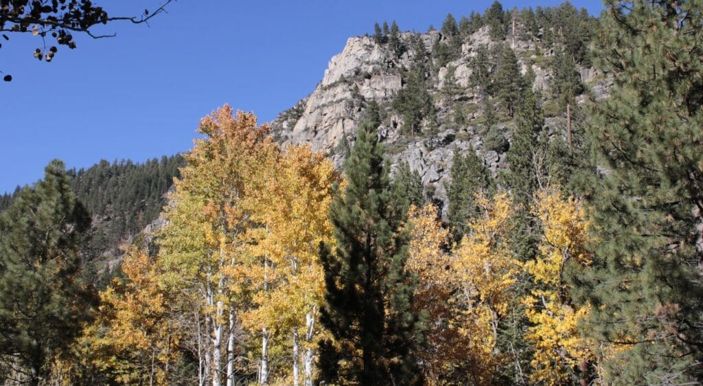 Autumn color Woodfords Canyon
