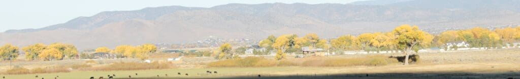 Genoa fall foliage