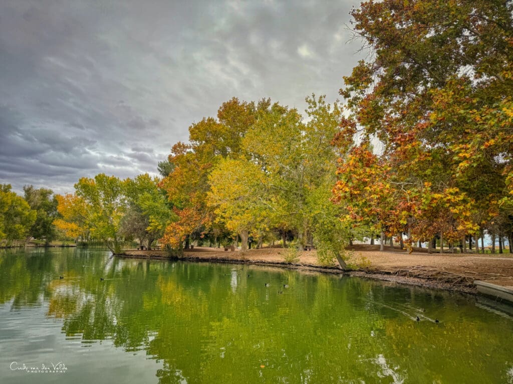 Floyd Lamb Park