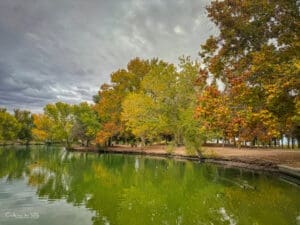 Floyd Lamb Park