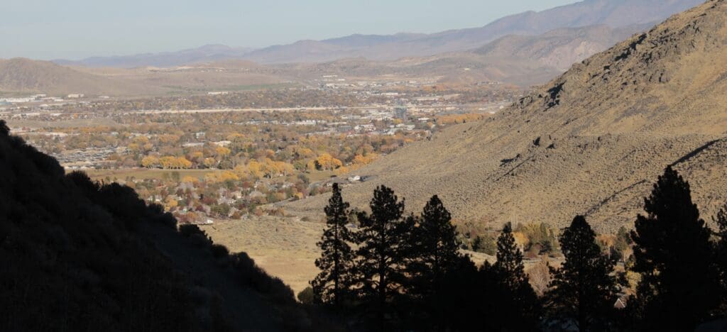 Fall color in Carson City
